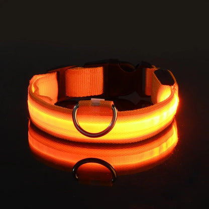 Nylon LED Glow Collar