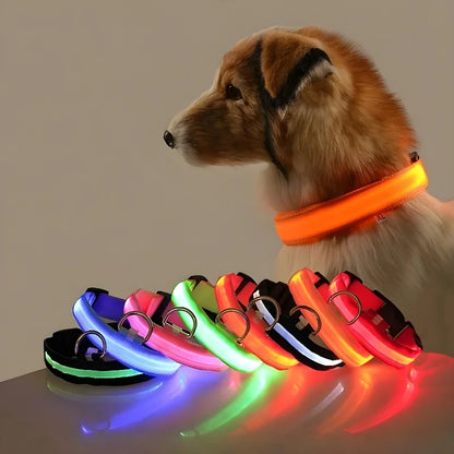 Nylon LED Glow Collar