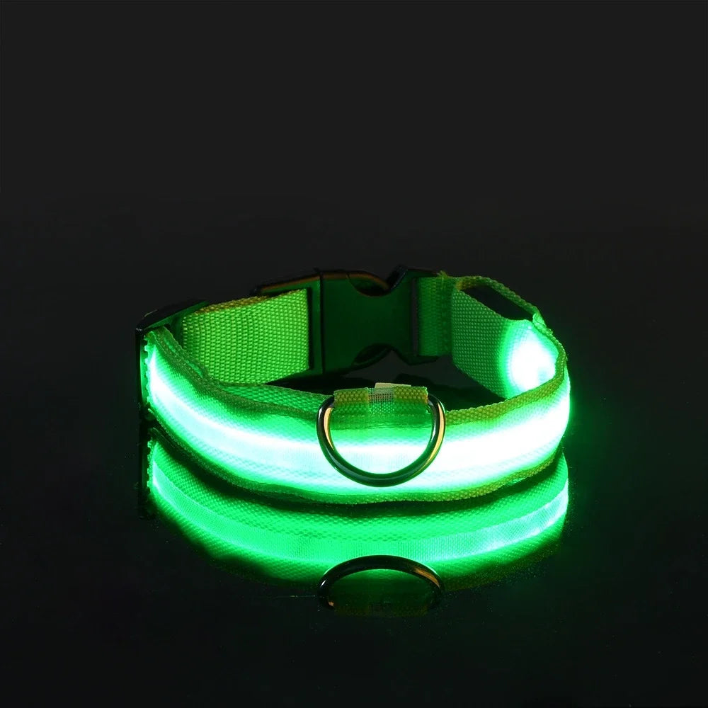 Nylon LED Glow Collar