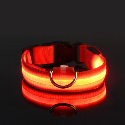 Nylon LED Glow Collar