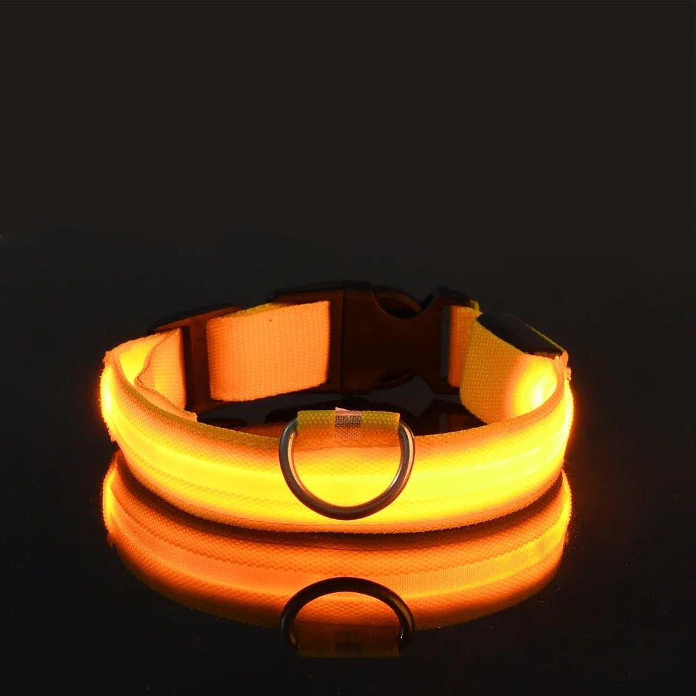 Nylon LED Glow Collar