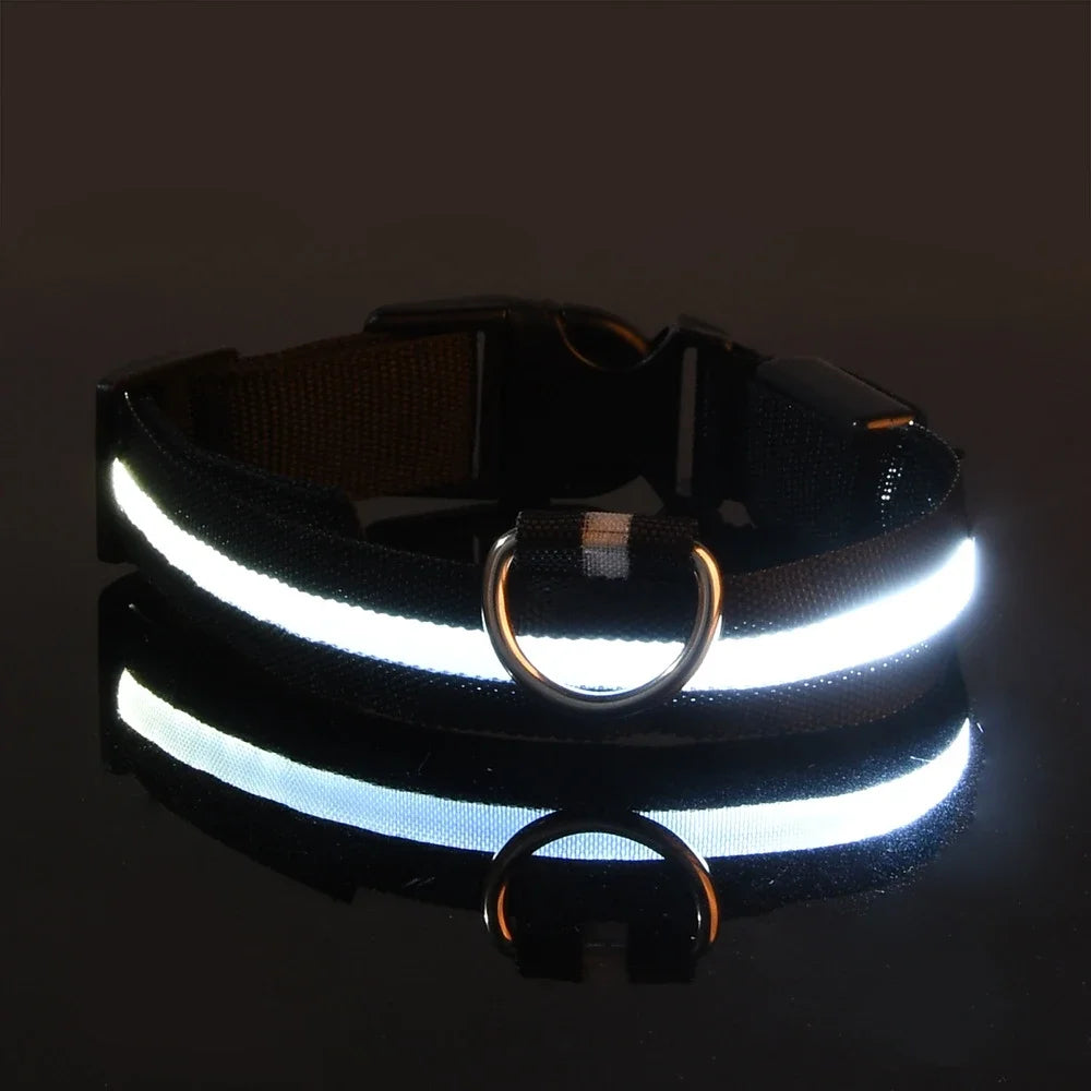 Nylon LED Glow Collar