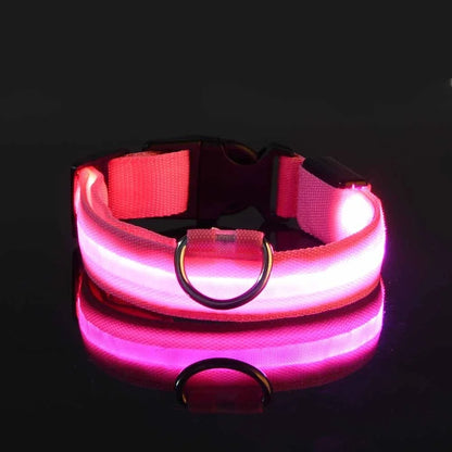 Nylon LED Glow Collar